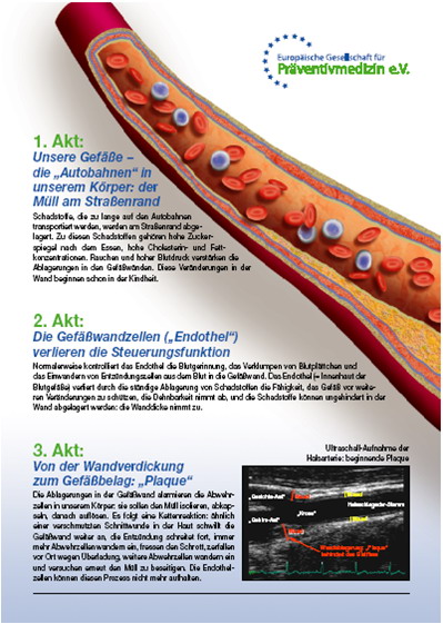 Gefässe1